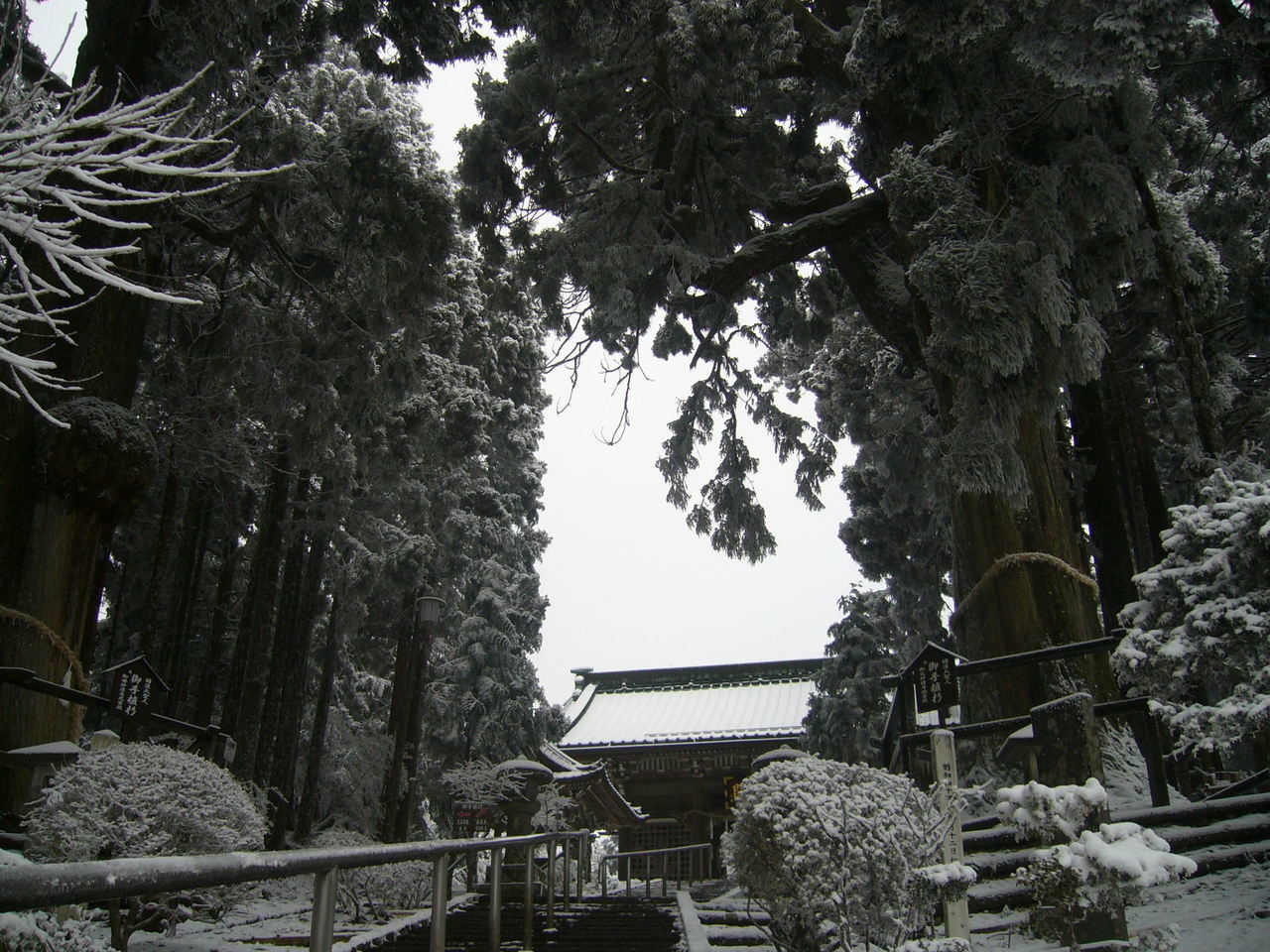 雪の奥之院山門と日蓮大聖人お手植え杉