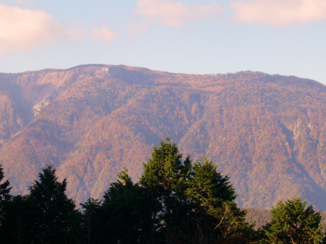 身延山から望む紅葉の七面山.JPG