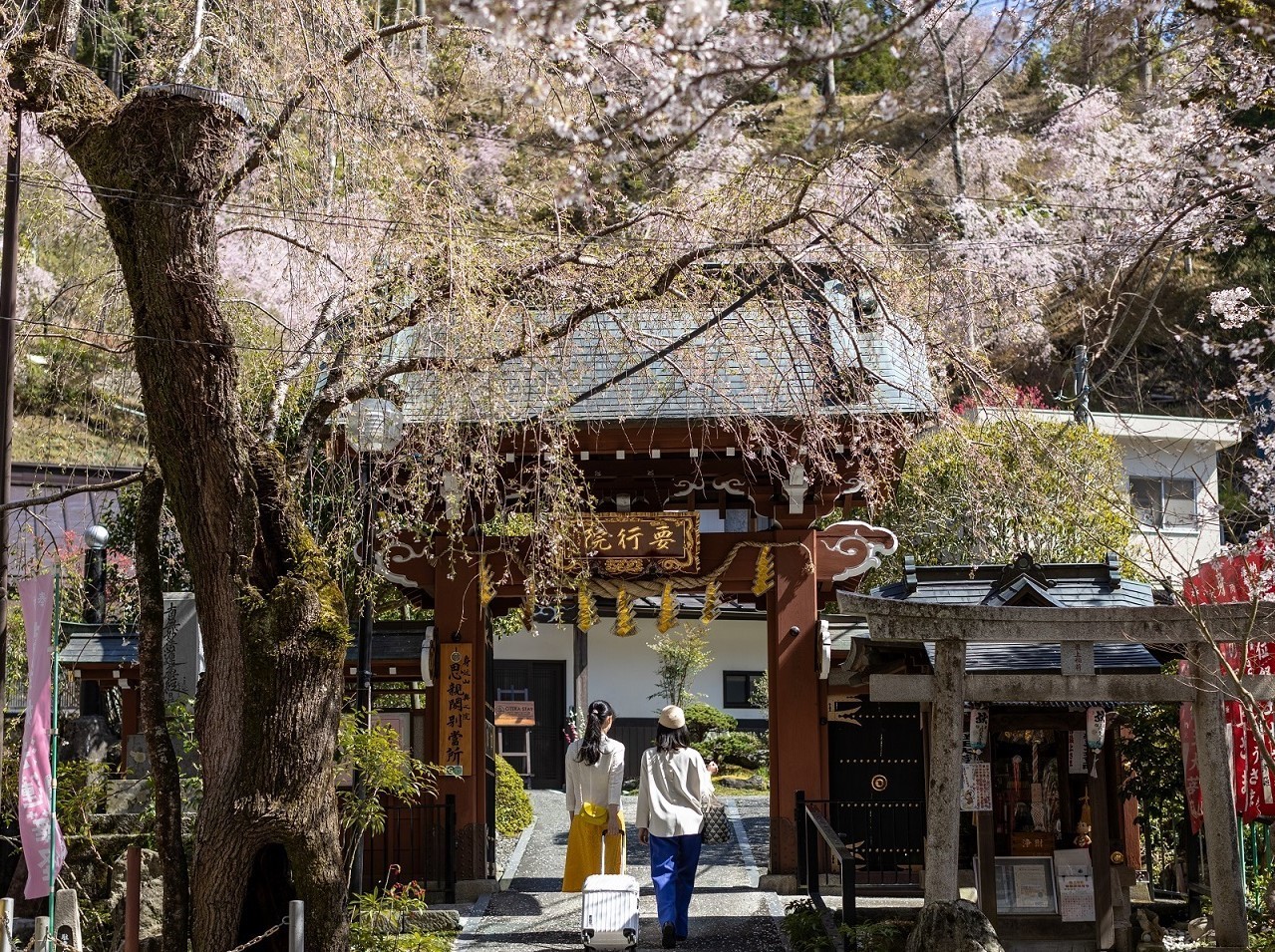 山門　2021年　建立100周年.jpg