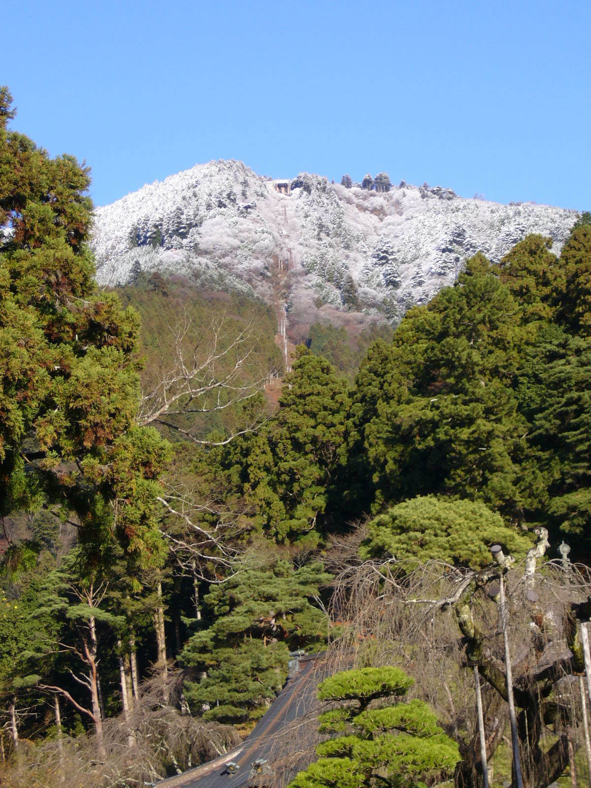 久遠寺境内から望む雪の身延山山頂.JPG