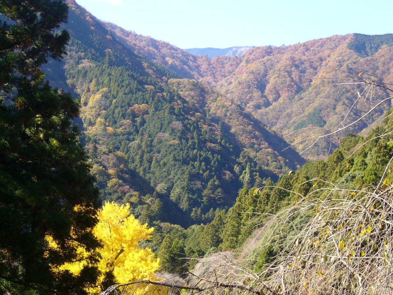 身延山の紅葉と七面山の大ガレ