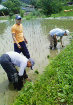 田植え修行の僧侶.JPG